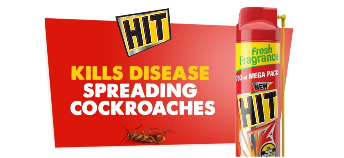 Hit Insect Killer Spray 700ml At 243market 300