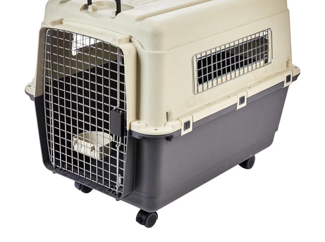 Loot 2436 Amazon Basics Heavy Duty Pet Airline Carrier Iata Approved Medium