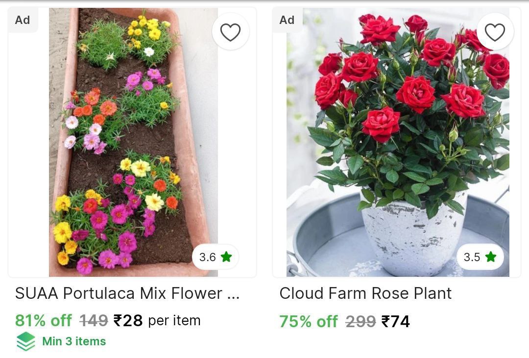 Shopsy Loot Gardening Steals Items Starts From 28