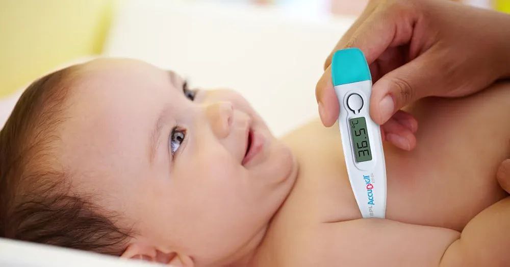 Bpl Digital Thermometer 79