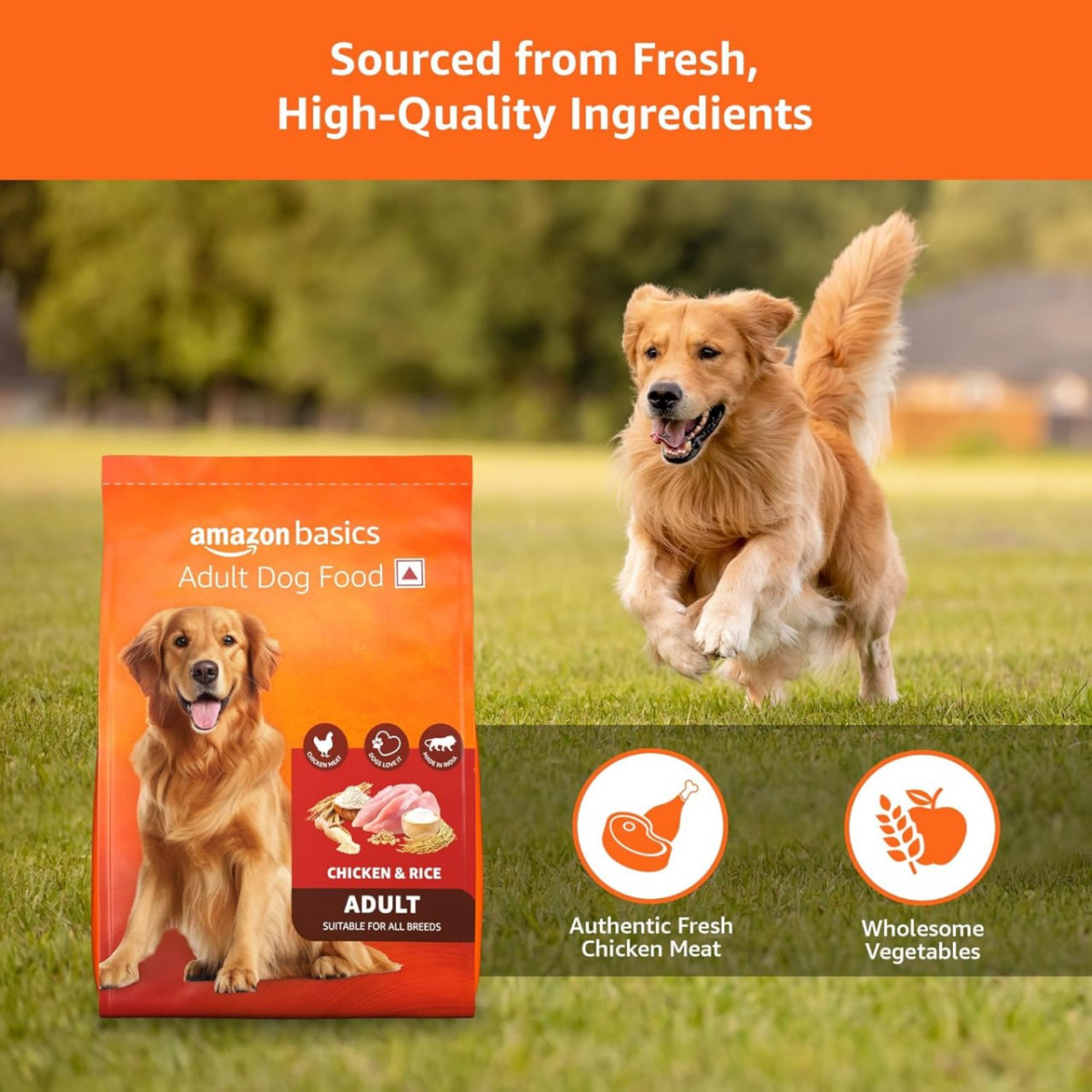 Amazon Basics Dry Dog Food 1 Kg For 69