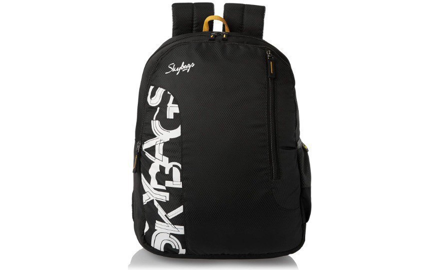 Skybags Casual Standard Backpack 28l 2 Main Compartments 399