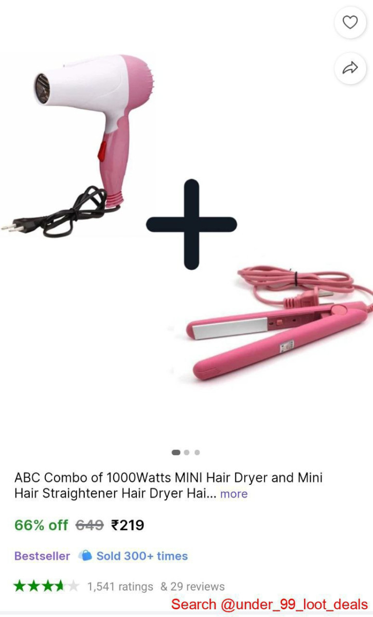 W Hair Dryer Hair Straightener 219