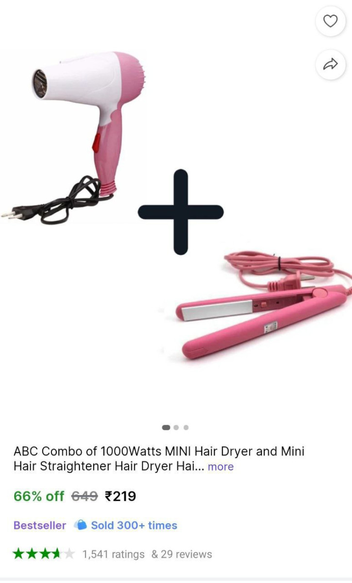 W Hair Dryer Hair Straightener 219