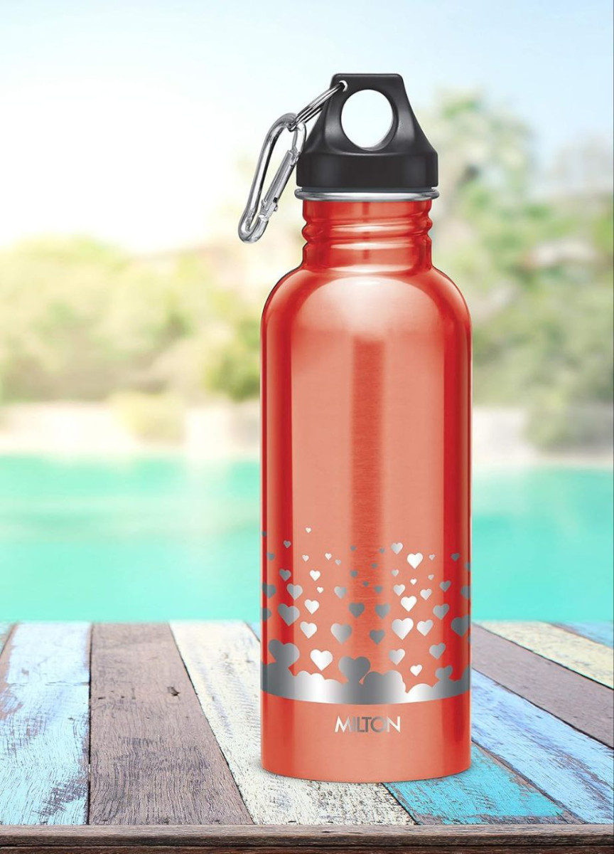 Grab 198milton Alive 750 Stainless Steel Water Bottle 750ml Single Walled I