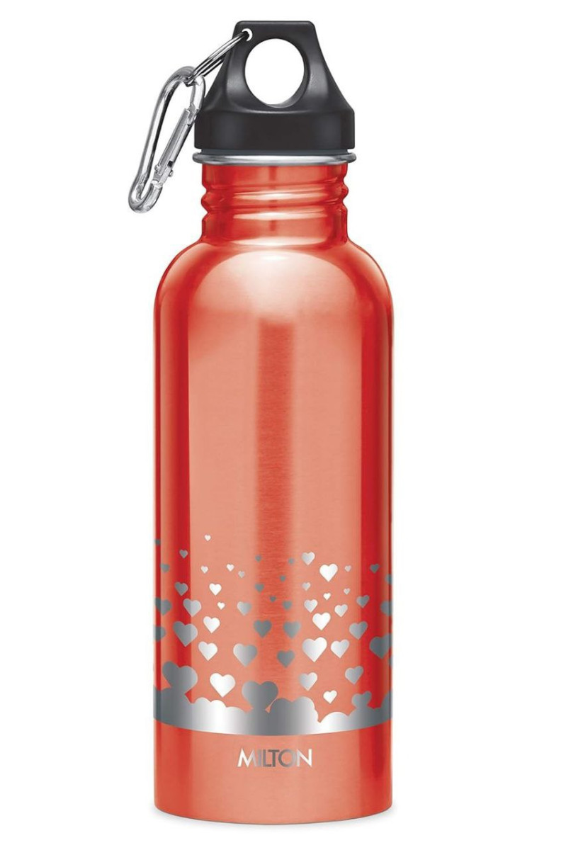Milton Alive 750 Stainless Steel Water Bottle 750ml Single Walled 198