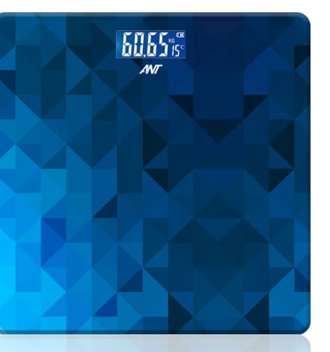 Ant Flora Digital Bathroom Scale At Rs 299