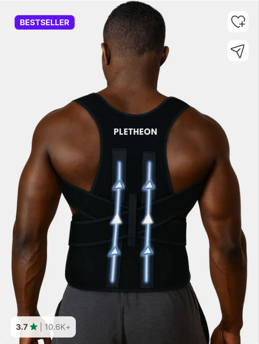 Flipkart Pletheon Belt For Men Women 216