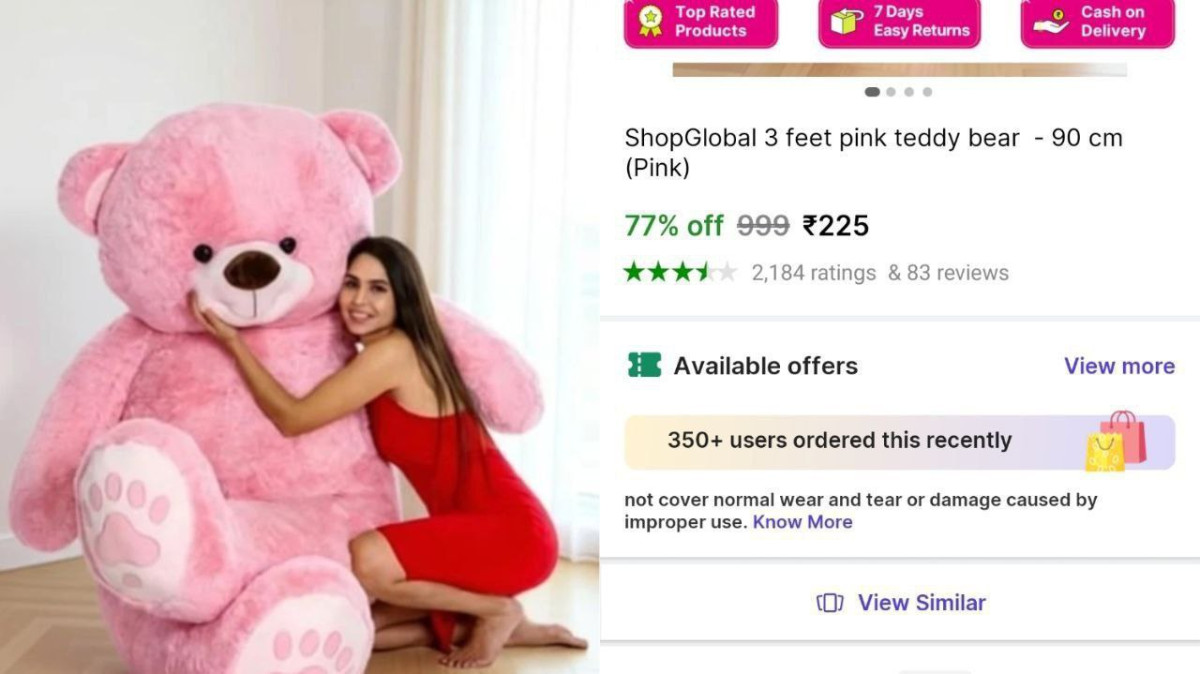 Feet Teddy Bear 225