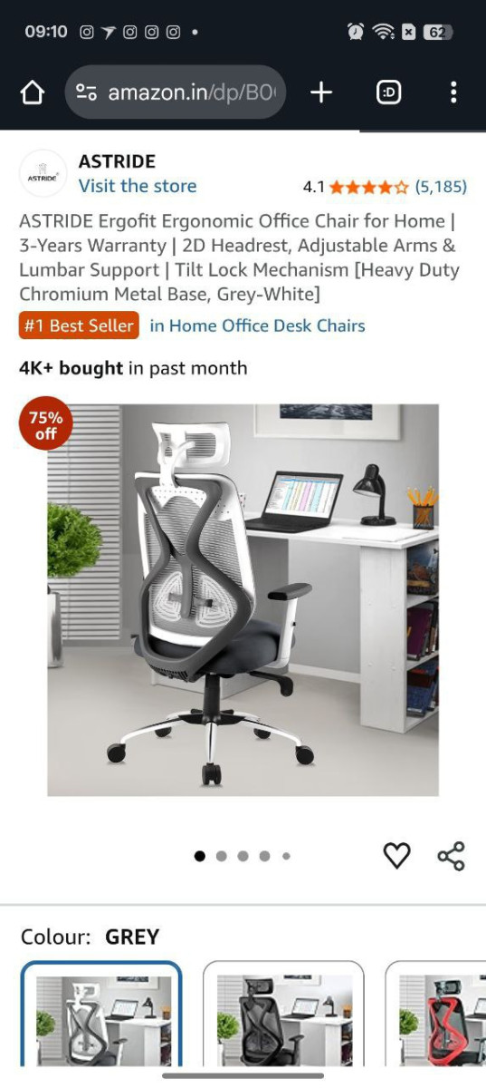 Ergonomic Office Chair At Rs 4999