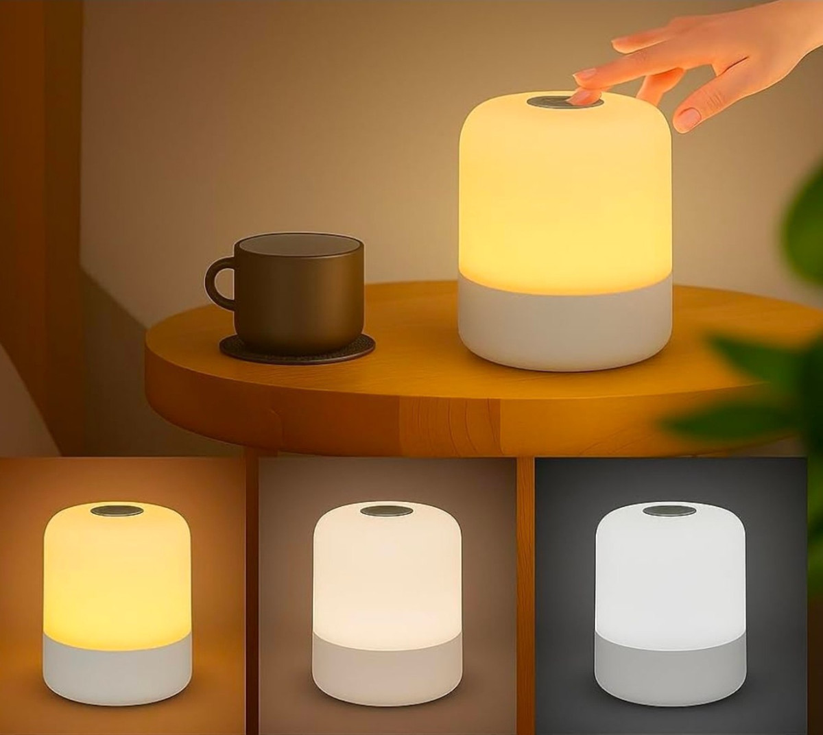 Oval Led Table Lamp At 279