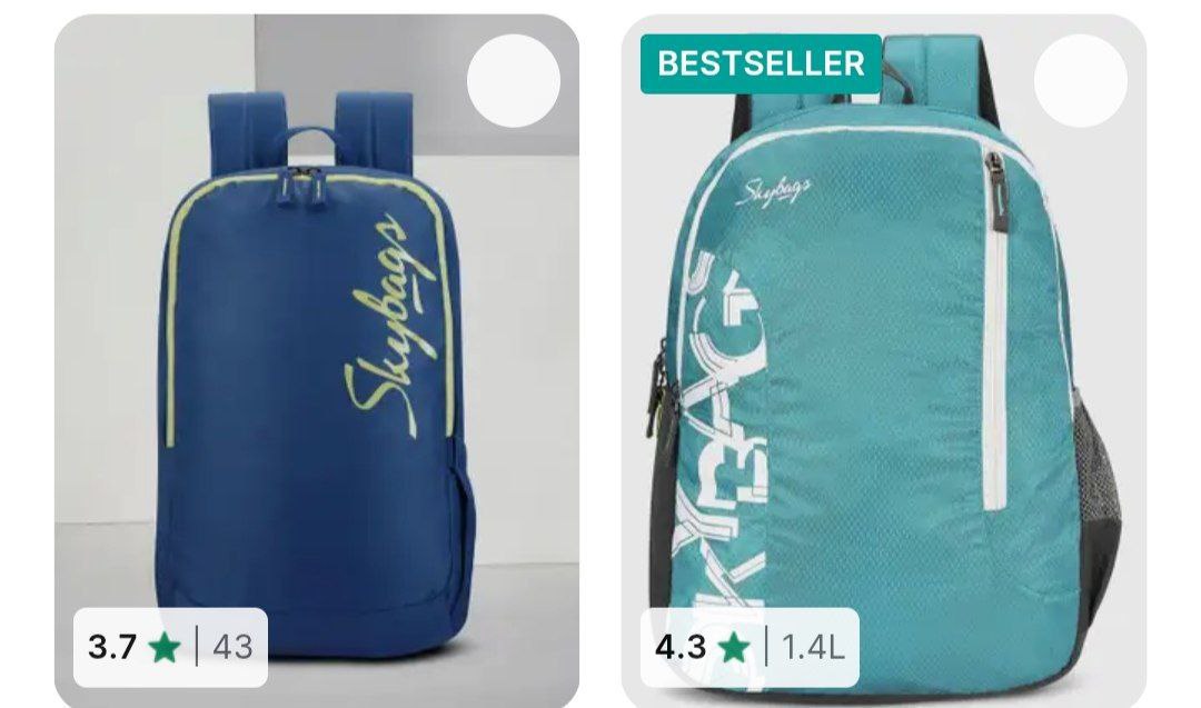 83 On Skybags Backpack