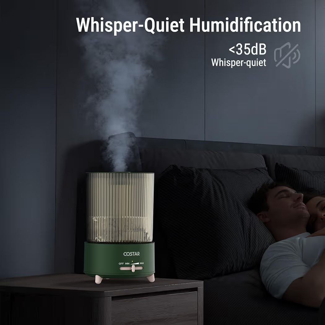 Loot Humidifier For Moisture 999 – Best Price in India