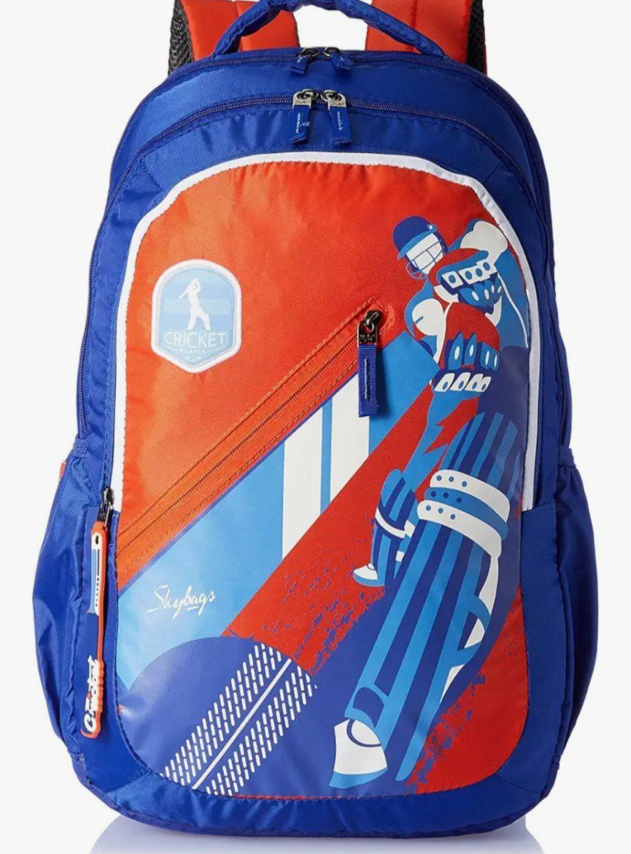 Skybags Casual Backpack 34l 549 – Best Price in India