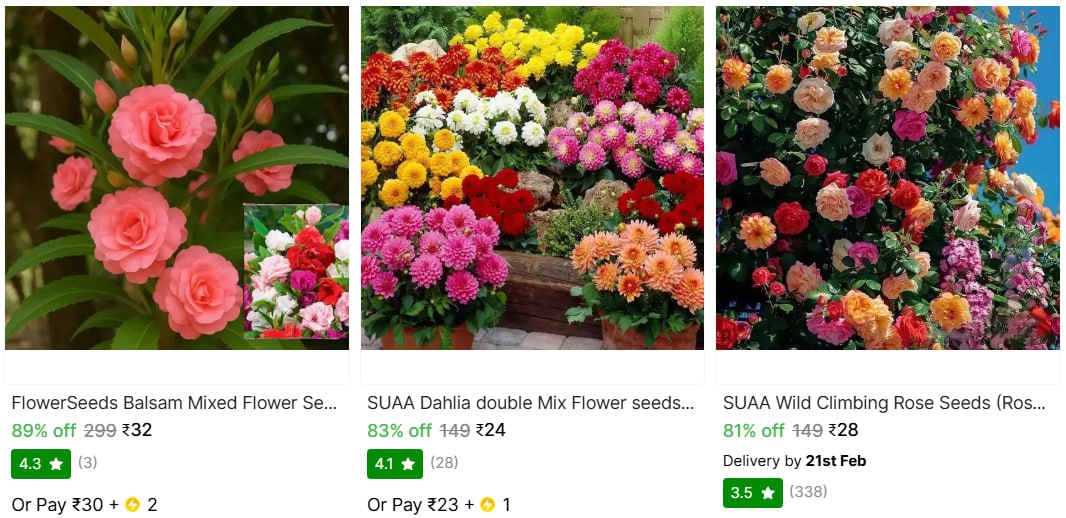 Plant Seed Starts From 24 – Best Price in India