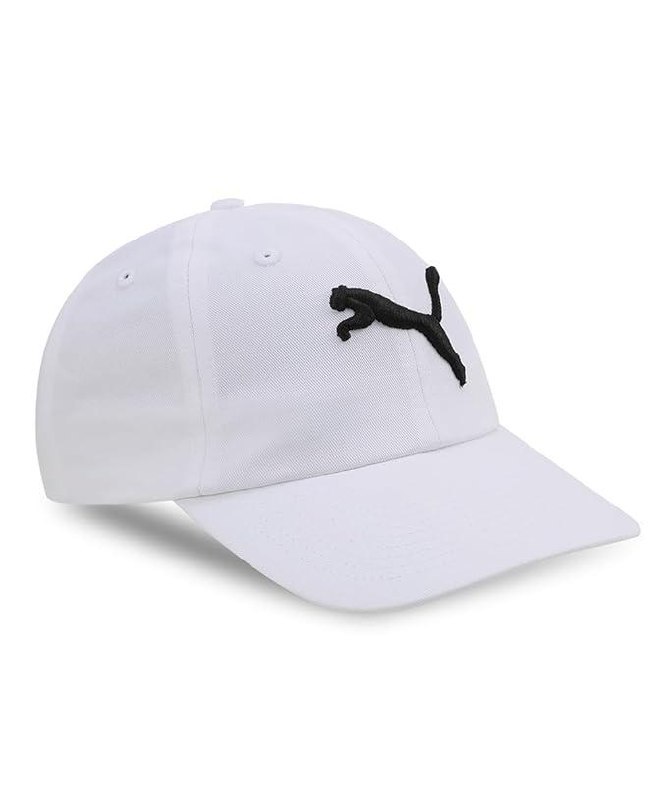 Puma Men S Baseball Cap 299 – Best Price in India