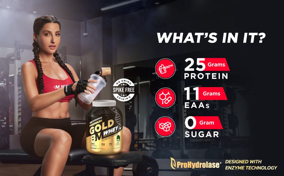 Bigmuscles Nutrition Premium Gold Whey 1 Kg 1465 – Best Price in India
