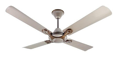 Amazon Havells 1200mm Leganza Es 4b Ceiling Fan Best Fan In 4 Blade 3 598 –
